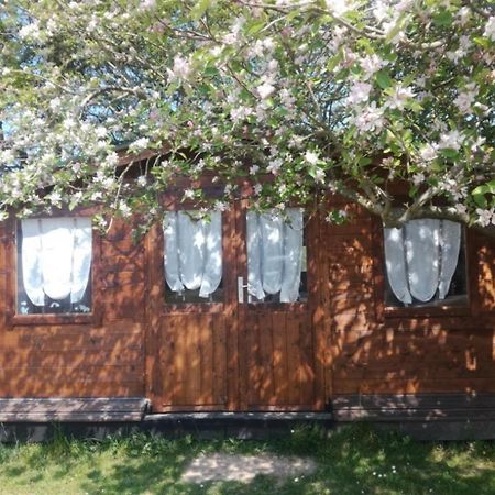Chambre Studio Photo Chalet Sdb Partagee A Proximite Chavagne Exterior foto